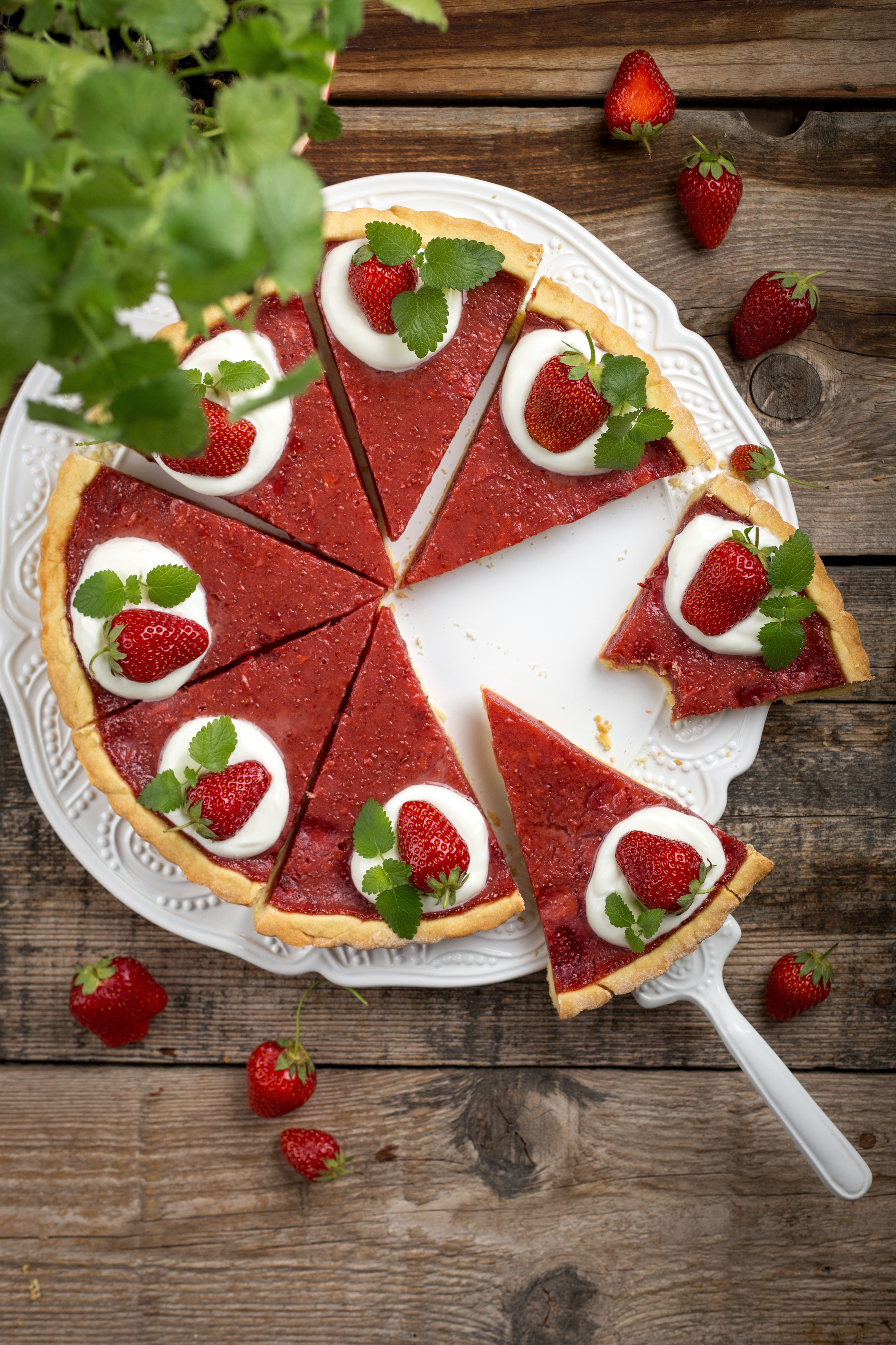 maja-babic-vocni-tart.jpg