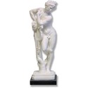 Hermaphrodite