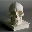 Skull On Book-8 H