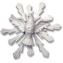 Dove Of Peace 14