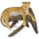 Leopard Head Up-Full Color