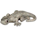 Gecko 12  W