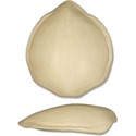 Turtle Shell 30
