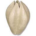 Giant Pod Vase 26