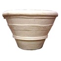 Palm Pot   26