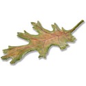Leaf-Med