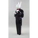 Tuxedo Rabbit 76