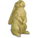Hare With Long Ears