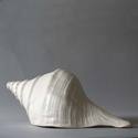 CONCH SHELL