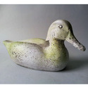Mallard Duck