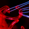Velcro under a microscope
