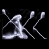 AKK - written in lightning