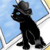 daydreaming kitty