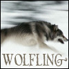 winter wolf by enriana