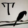 T and a bird on a wire