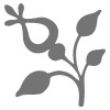 Gray on white flower icon