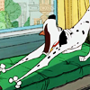 Pongo's morning stretching exercises