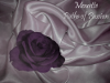 Mouette, Paths of Passion