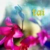 Blue-pink flowers with tai written on top right