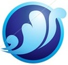 Wind & Water