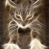 Leela - Mist Cat icon