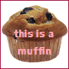 This is a muffin