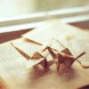 Origami birds