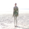 Another Place - sculpture on Crosby beach, England