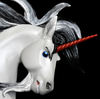 My Prowl Horse