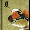 Painting of a duck with hanzi for summer