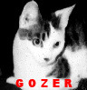 Teeny Gozer grows up!