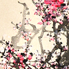 Sakura by dictionarysays on LJ