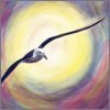albatross