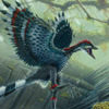 An archaeopteryx.