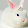 icon created by exclu_silly on Livejournal