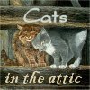 cats in the attic
