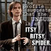 profile suggests that unsub is itsy bitsy spider