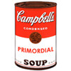 the primordial soup can