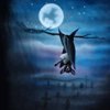 bat_guitarist-ljicon_aeron_lanart
