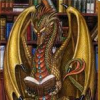 bookdragon