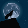 Wolf howling at moon.