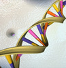double-helix