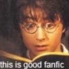 Good fanifc HP