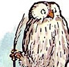 Wol