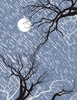 rain moon trees