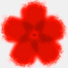 Phlox-shaped flower picture