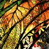 mushi shi colours