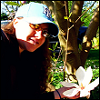 Kiwi and a saucer magnolia bloom. ♥