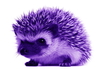 richard