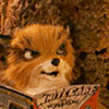 young fox reading a comic book
